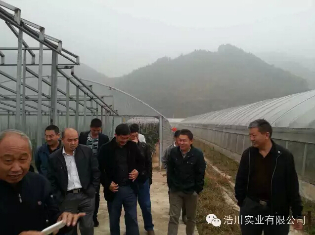 �ƴ������L������꠿��� ʮ���оG�~ɽ�l(xi��ng)���B(t��i)�r(n��ng)�I(y��)Ͷ�Y�������޹�˾�f��ƺ���߲˻���