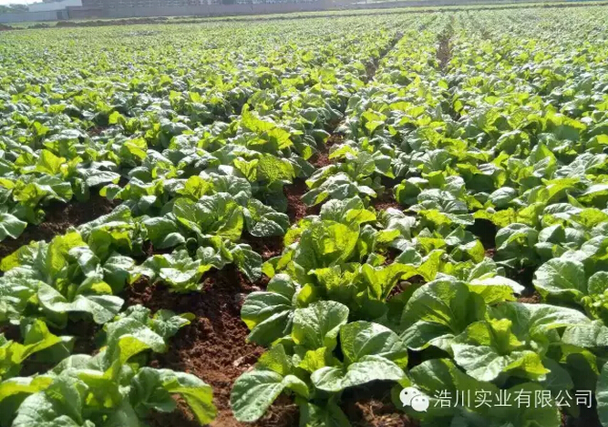 �،����Y��˼·�����Һ�����ģʽ