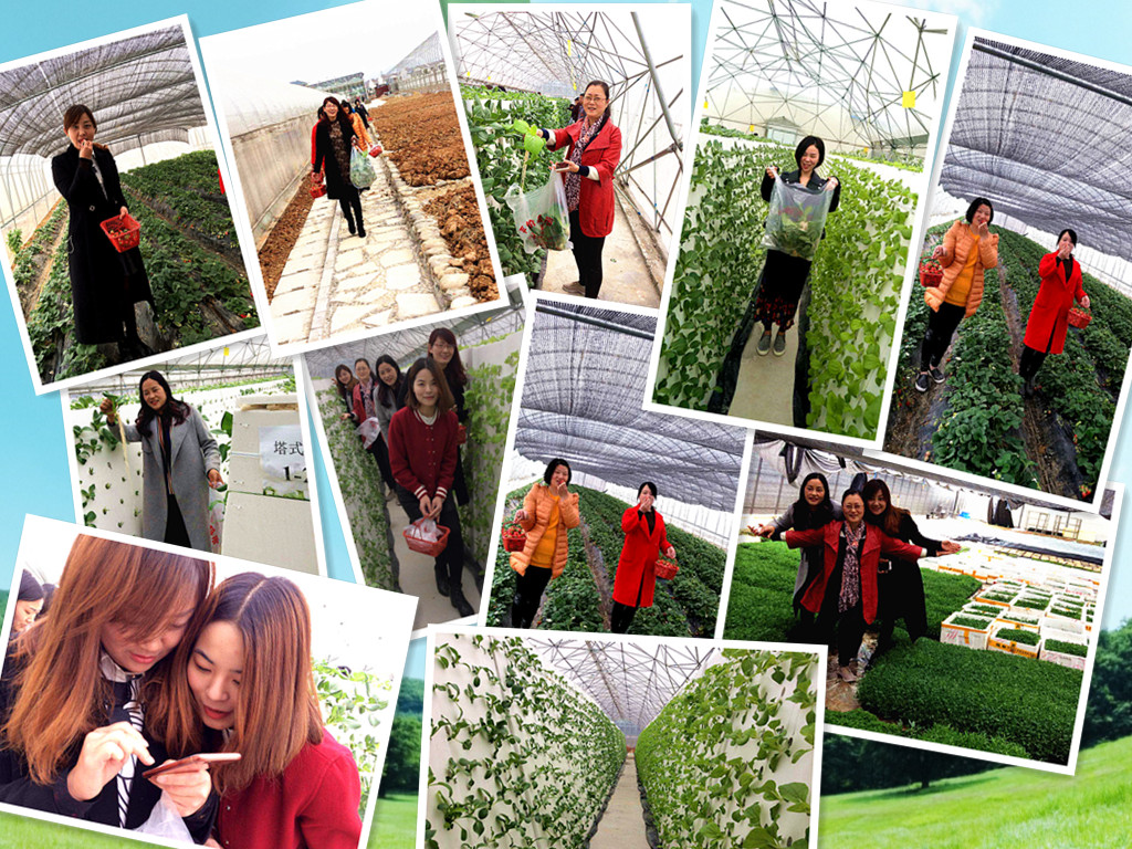 Ů��(ji��)���y��̕�(hu��)�c�����˲�ժ�Θ����(d��ng)�������r(n��ng)�I(y��)��˾��������e��