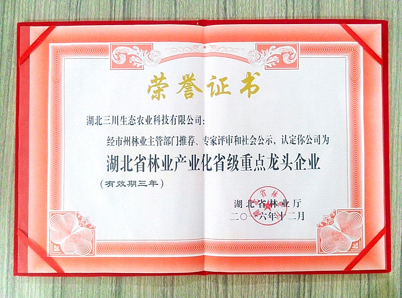 IMG_20170222_163207_HDR_����